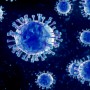 Coronavirus: 64 more patients died in the last 24 hours