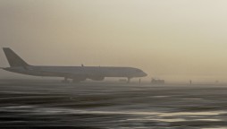 flights fog