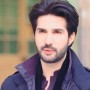Know some of the interesting facts about Actor Adeel Chaudhry