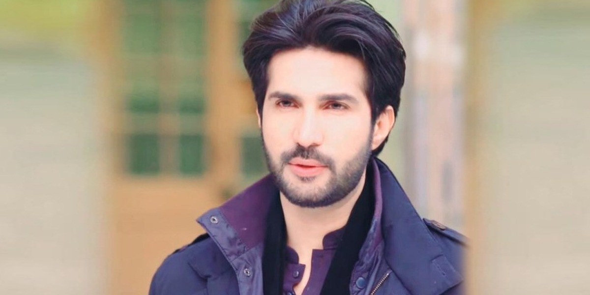 Adeel Chaudhry facts