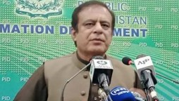 SBP’s Independency Will Help Overcome Inflation From The Country, Shibli Faraz