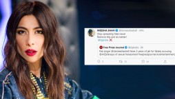 Meesha Shafi Imprisonment