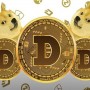 Dogecoin to PKR – Today Dogecoin Price in Pakistan on, 9 March 2022