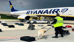 Europe, US Condemn Belarus Over 'Accusation Of Hijacking' Passenger Plan