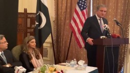 Kashmiris Face Same Repression As Palestinians: FM Qureshi