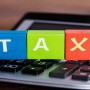 Advisory body opposes new IT taxes