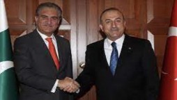 Foreign Minister Qureshi to leave for Turkey this week to attend Antalya Forum