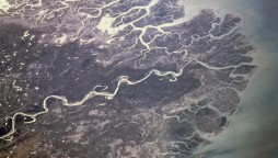 indus delta