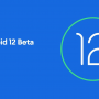 Android 12 Beta 4 with platform stability coming out on Pixel phones