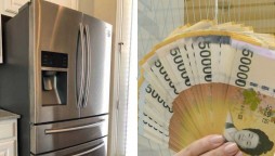 India considers curbing import of refrigerators