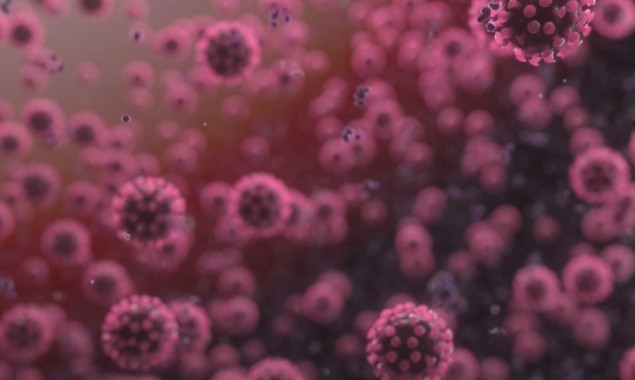 Nigerian expert warns against ‘political virus’ in Covid-19 origins tracing