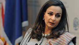 Sherry Rehman leads Senate opposition’s walk out over petrol price hike