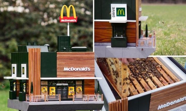 McDonald’s is losing sales worth millions due to Russian branches closure