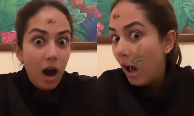 Mira Rajput puts flies crawl on her face in a recent video, Zain reacts