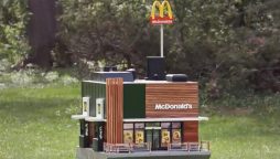 Have you ever seen the world’s tiniest McDonald's?