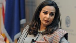 Human rights organisations