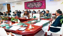 Captive power plants, CNG sector gas to be diverted to domestic consumers