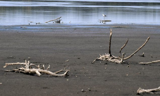 Countries must brace for future food ‘shocks’: FAO