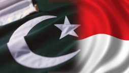 Indonesia sets $50 billion e-commerce trade target by 2025: envoy