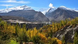 Pakistan's northern territories will soon enjoy high-speed internet