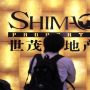 Chinese developer Shimao share plunge adds to property woes