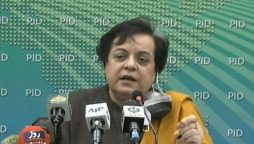 Govt is taking necessary steps to protect journalists' rights: Mazari