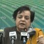 Govt is taking necessary steps to protect journalists’ rights: Mazari