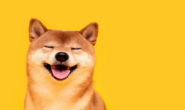 Shiba Inu Price Prediction: Shiba Inu price has collected liquidity resting below $0.0000283