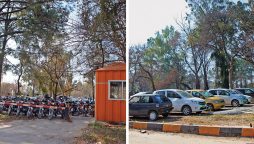 damaging environment