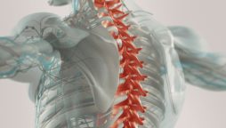 Spinal cord implant