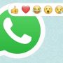 Whatsapp Reactions: WhatApp is Finally Introducing a Much Needed Chat Feature