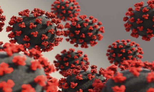 New Zealand reports 981 new community cases of COVID-19