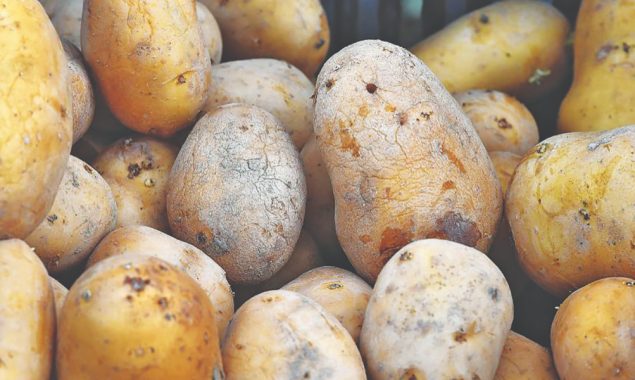 Scope in China’s farming methods