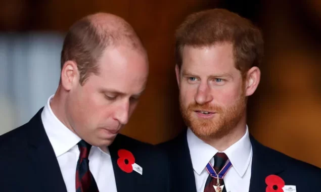 Prince William and Prince Harry ongoing feud 
