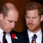 Prince William and Prince Harry ongoing feud 