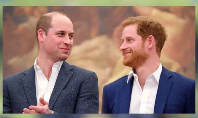 Prince William wins the title of ‘most gorgeous’ royal eyes over Prince Harry