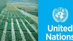 UN Environment Program praises Pakistan's efforts to restore ecosystems