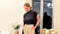 Sania Mirza has a cool glittery OOTD vibe in recent pictures