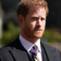 Prince Harry criticized for burning his boats with Royal family