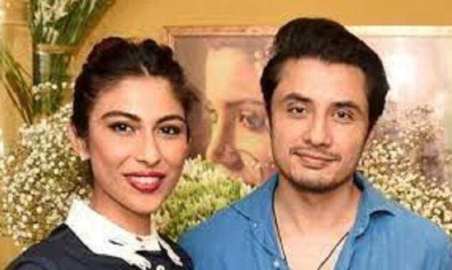 Court dismisses Meesha’s plea seeking permission for recording statement thru video link