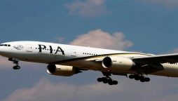pia