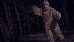 beast attacked ranch