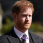 Prince Harry faces more danger in Holland than in London, Former Met Police