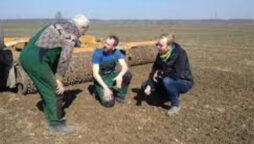 Ukraine could lose half its harvest due to war: minister