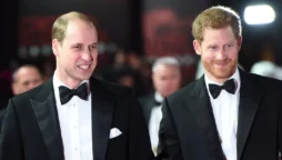 prince harry and prince william
