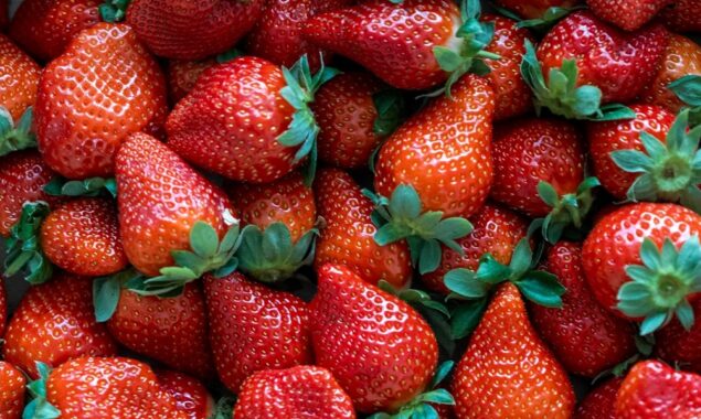 Hepatitis A outbreak in the US and Canada