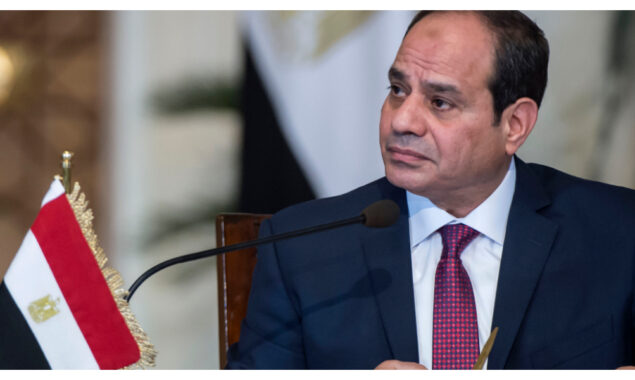 Egyptian, Polish presidents negotiate in Cairo