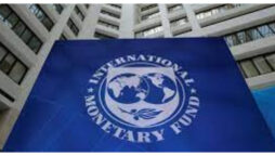 IMF
