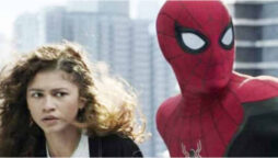 Tom Holland and Zendaya Reprising their Roles in Spider Man 4?