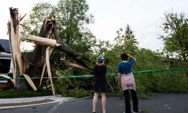 At least eight dead in Canada